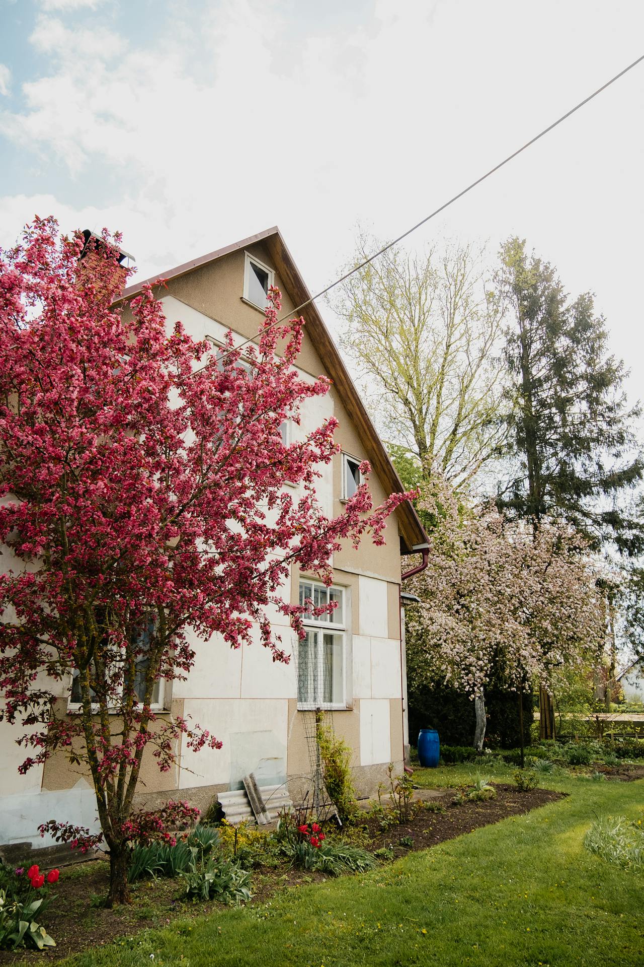 Wie viel Miete für ein Haus mit Garten? Richtwerte, Rechner und Faktoren